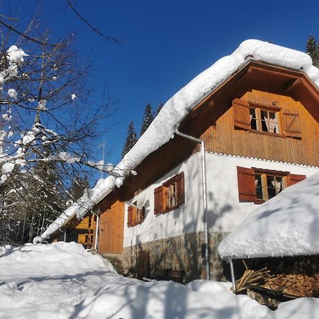 Pohorje House 2 Four Appartmetns オプロトニツァ エクステリア 写真
