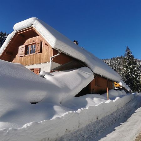 Pohorje House 2 Four Appartmetns オプロトニツァ エクステリア 写真