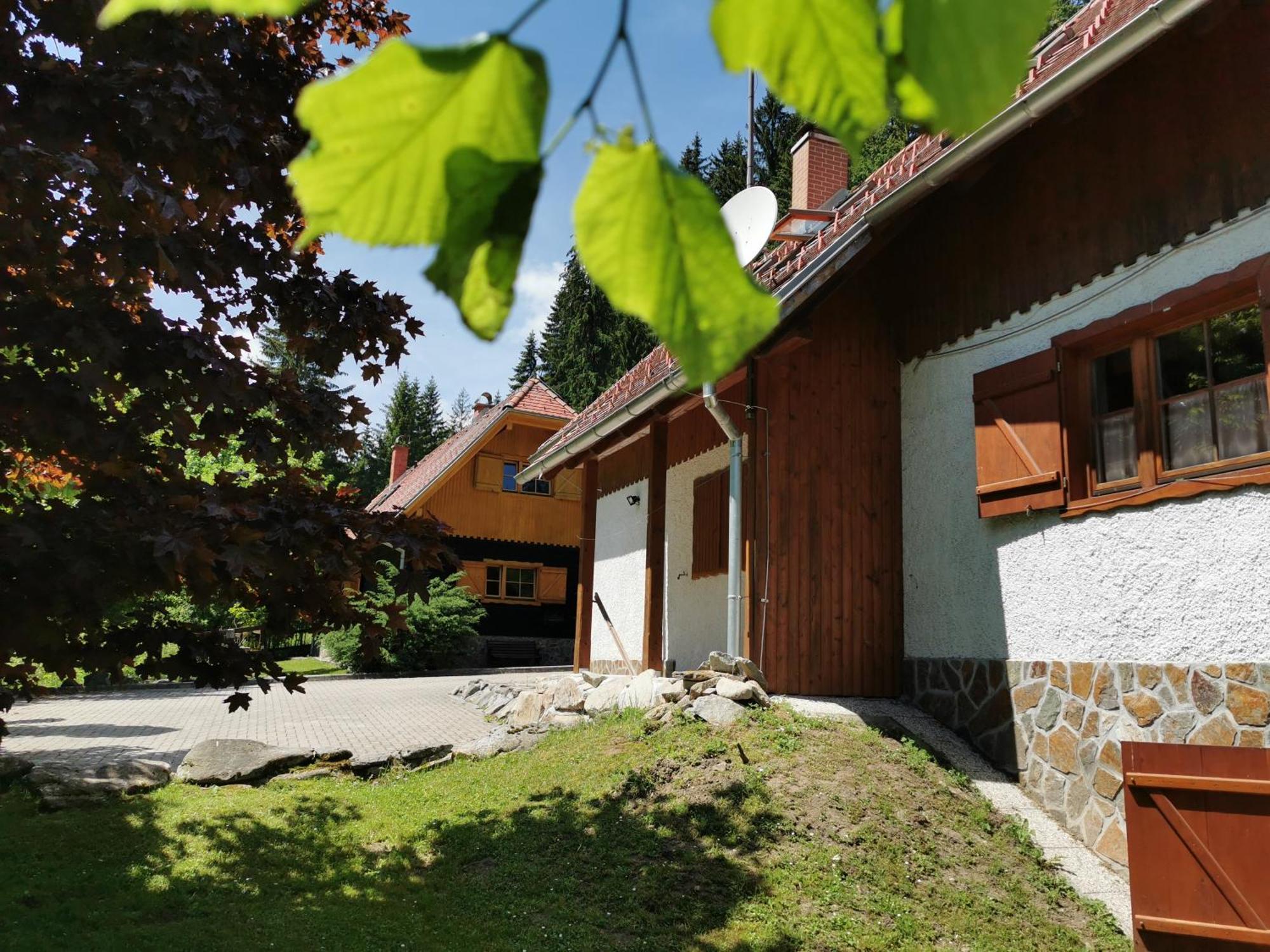 Pohorje House 2 Four Appartmetns オプロトニツァ 部屋 写真