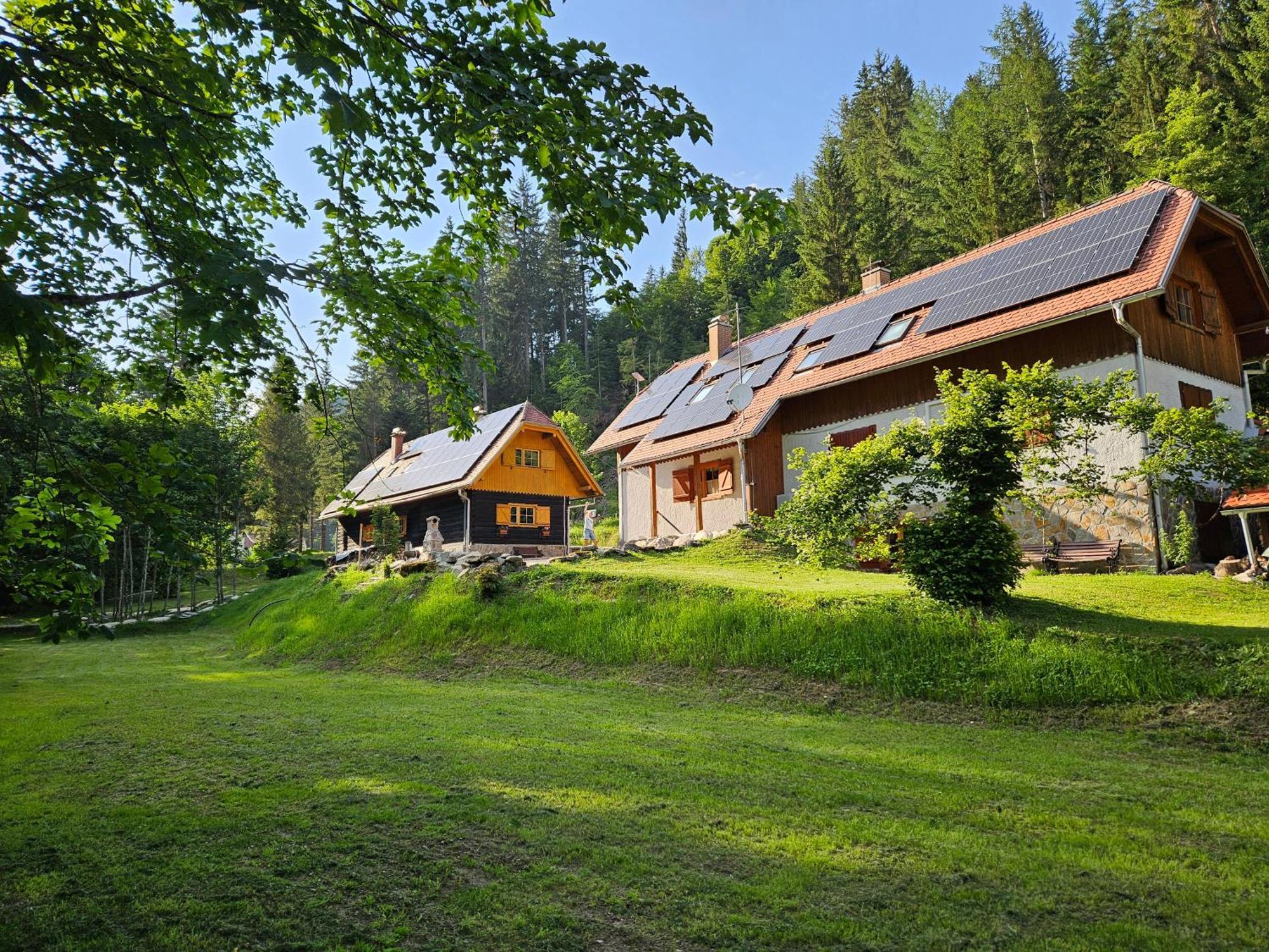 Pohorje House 2 Four Appartmetns オプロトニツァ エクステリア 写真