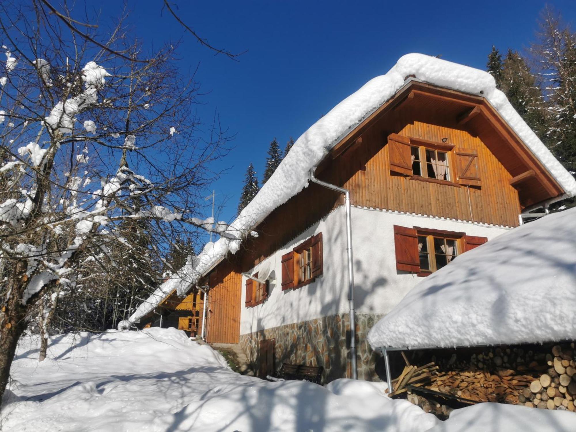 Pohorje House 2 Four Appartmetns オプロトニツァ エクステリア 写真