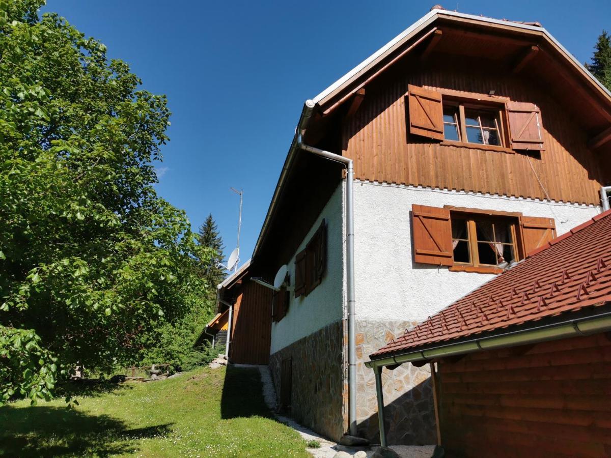 Pohorje House 2 Four Appartmetns オプロトニツァ エクステリア 写真