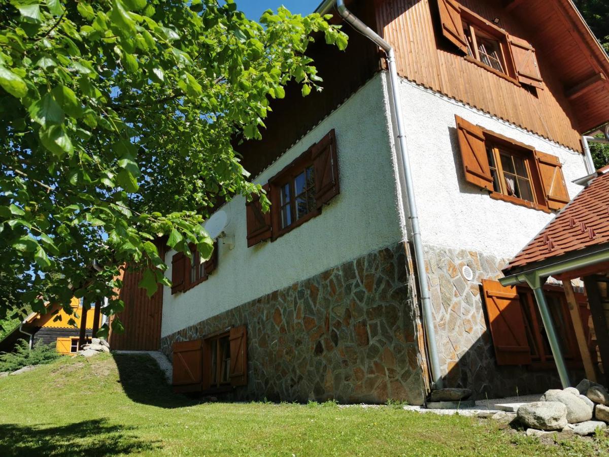 Pohorje House 2 Four Appartmetns オプロトニツァ エクステリア 写真